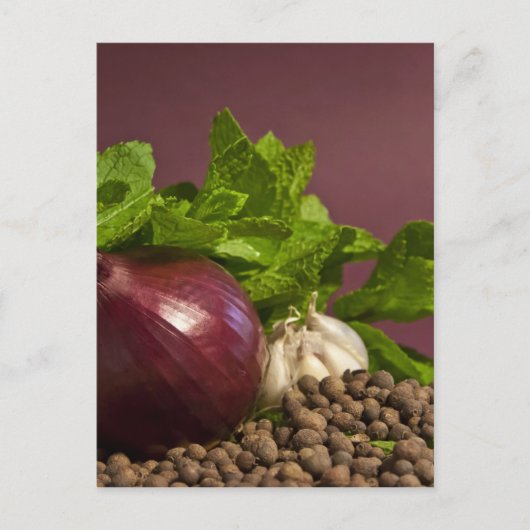 Zwiebel Postkarte (Vorderseite)