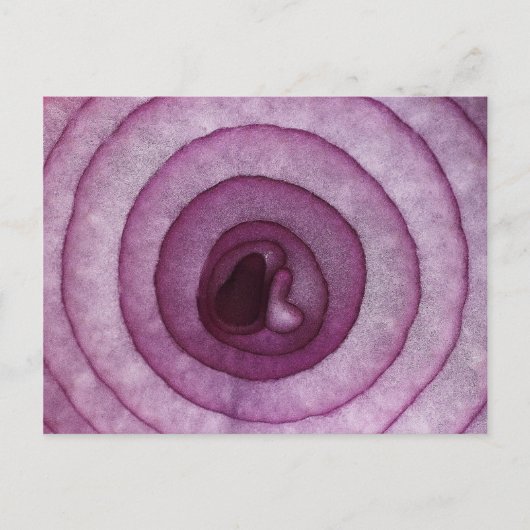 Zwiebel Postkarte (Vorderseite)