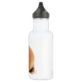 Zwiebel Trinkflasche (Rechts)