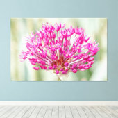 ZwiebelBlume Leinwanddruck (Insitu (Holzboden))