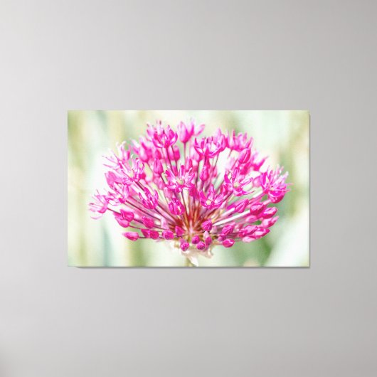 ZwiebelBlume Leinwanddruck (Vorderseite)