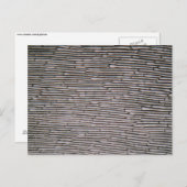 Zwiebelepidermis-Zellen im Shallot unter dem Mikro Postkarte (Vorne/Hinten)