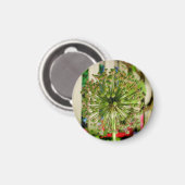 Zwiebelmagnet Magnet (Vorderseite/Rückseite)