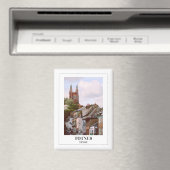 Zwiebeln, Devon Magnet (In Situ (Geschirrspüler))