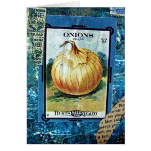 Zwiebeln fünf Cent-Collage