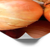 Zwiebeln Poster (Ecke)