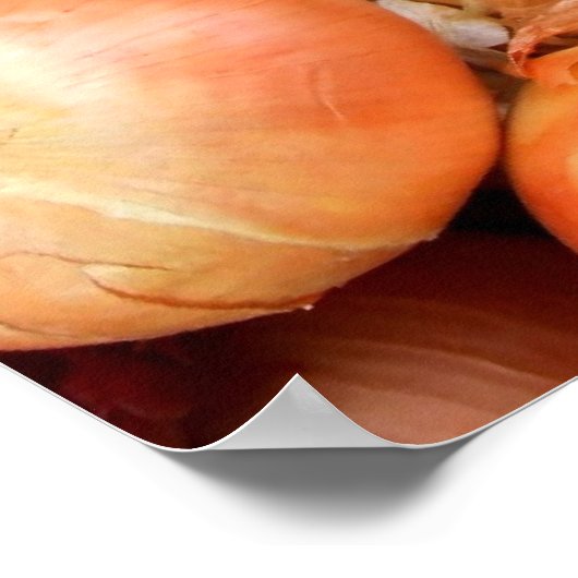 Zwiebeln Poster (Ecke)