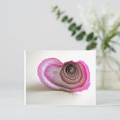 Zwiebelschichten Postkarte (Stehend Vorderseite)