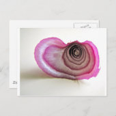 Zwiebelschichten Postkarte (Vorne/Hinten)
