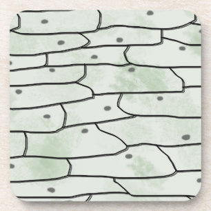 Zwiebelzellen Getränkeuntersetzer