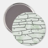 Zwiebelzellen Magnet (Vorderseite/Rückseite)