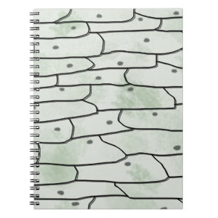 Zwiebelzellen Notizblock