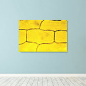 Zwiebelzellen-Pflanze Leinwanddruck (Insitu (Holzboden))