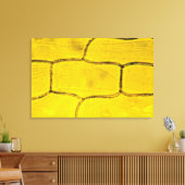 Zwiebelzellen-Pflanze Leinwanddruck (Insitu (Wohnzimmer))