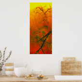 Zwielichtige Eiche Poster (Küche)