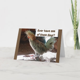 ***ZWILLING*** HAT EINE SCHLECHTE LAUNE AM "40." G KARTE