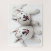 Zwilling-Husky Puzzle (Vertikal)