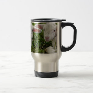 Zwilling Lamm Baby Tier Mit Denk An Dich Reisebecher