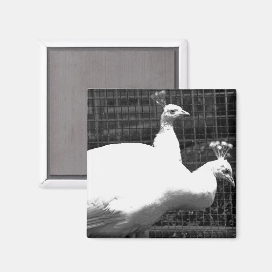 Zwillinge 8x8 magnet (Vorderseite/Rückseite)