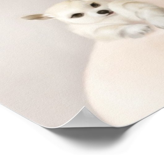 Zwillinge Poster (Ecke)