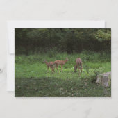 Zwillinge und ihre Mutter Einladung (Vorderseite)