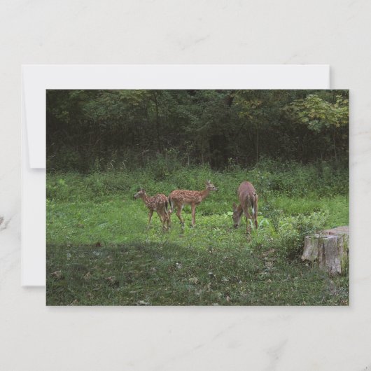 Zwillinge und ihre Mutter Einladung (Vorderseite)