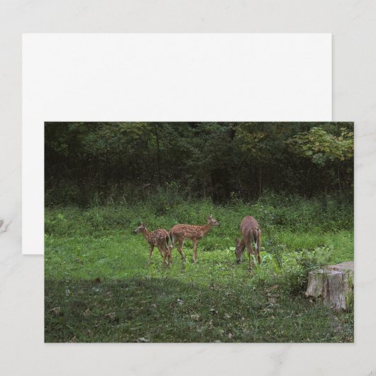 Zwillinge und ihre Mutter Einladung (Vorne/Hinten)