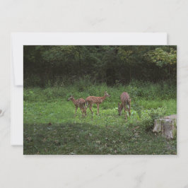 Zwillinge und ihre Mutter Einladung