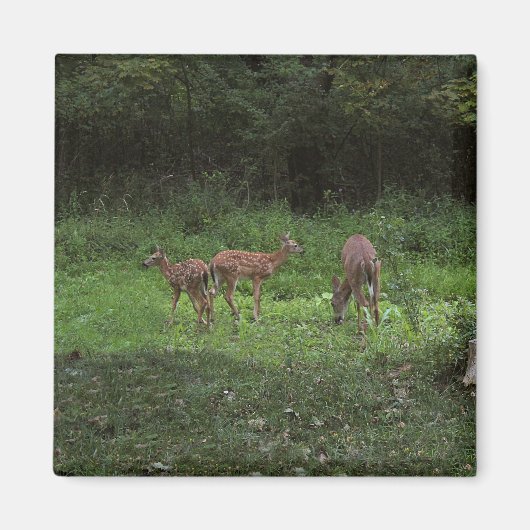 Zwillinge und ihre Mutter Magnet (Vorne)