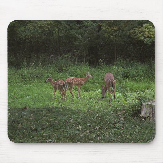 Zwillinge und ihre Mutter Mousepad (Vorne)