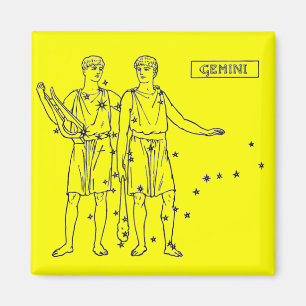 Zwillings-Magnet Magnet