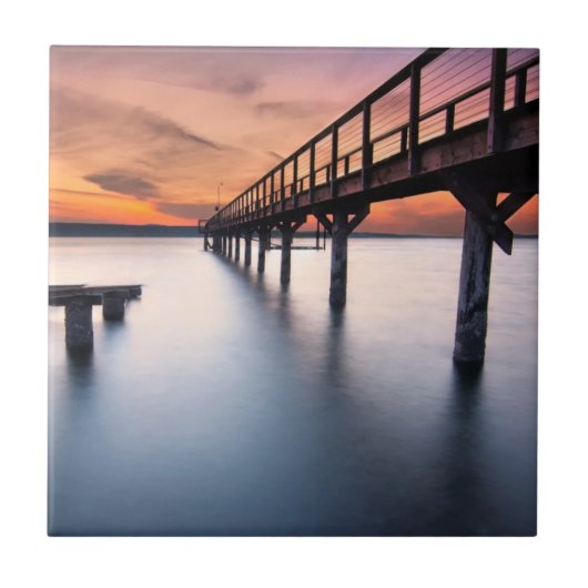 Zwillings-Spucken Fliese (Vorderseite)