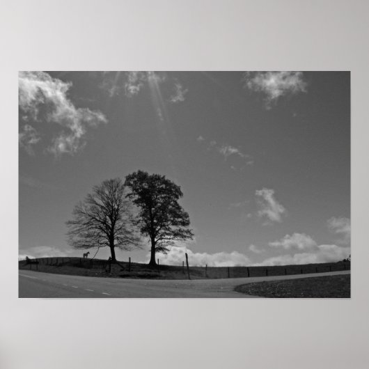 Zwillingsbäume Poster (Vorne)