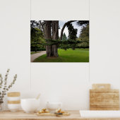 Zwillingsbäume Poster (Küche)