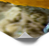 Zwillingsbeaks Poster (Ecke)