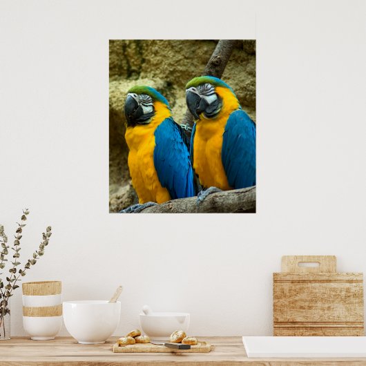 Zwillingsbeaks Poster (Küche)