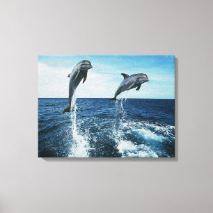Zwillingsdolphine Leinwanddruck