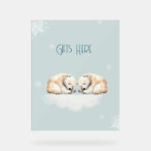 Zwillingsdusche Schlafpolarbären Acrylschild (Vorderseite)