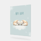 Zwillingsdusche Schlafpolarbären Acrylschild (Winkel)