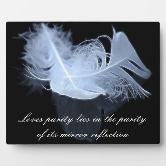 Zwillingsflammfedern und Reflektion Fotoplatte (Vorderseite)