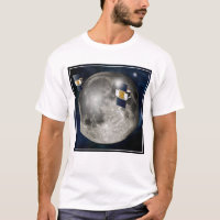 Zwillingsgras-Raumsonde, die den Mond umkreisen.