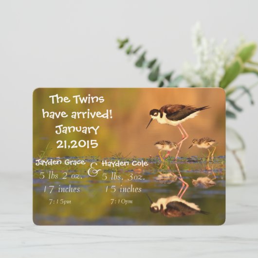 Zwillingshalskleber Ankündigung (Stehend Vorderseite)