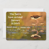 Zwillingshalskleber Ankündigung (Vorderseite)