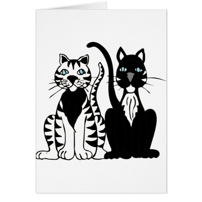 Zwillingskatzen (Vorne)