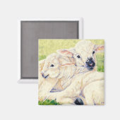 Zwillingslambs - Schafmagnet Magnet (Vorderseite/Rückseite)