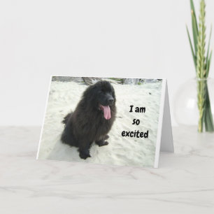 ZWILLINGSLINGE ICH LIEBE ES, MEINEN GEBURTSTAG MIT KARTE
