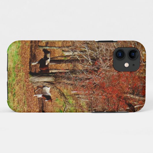 Zwillingspferde Case-Mate iPhone Hülle (Rückseite (Horizontal))