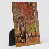 Zwillingspferde Fotoplatte (Seite)