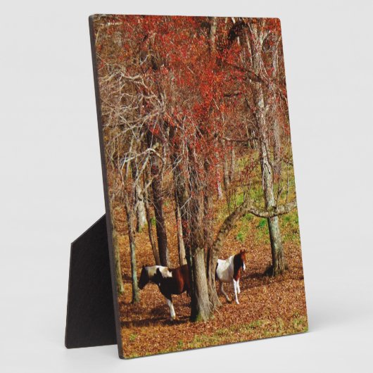 Zwillingspferde Fotoplatte (Seite)