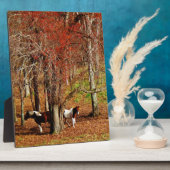 Zwillingspferde Fotoplatte (Seite)